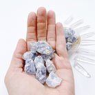 Celestite Small Rough Stones - Baltic Mermaid