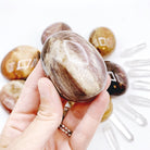 Petrified Wood Palm Stones - Baltic Mermaid