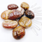 Petrified Wood Palm Stones - Baltic Mermaid