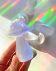 Selenite Mushrooms