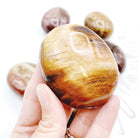 Petrified Wood Palm Stones - Baltic Mermaid