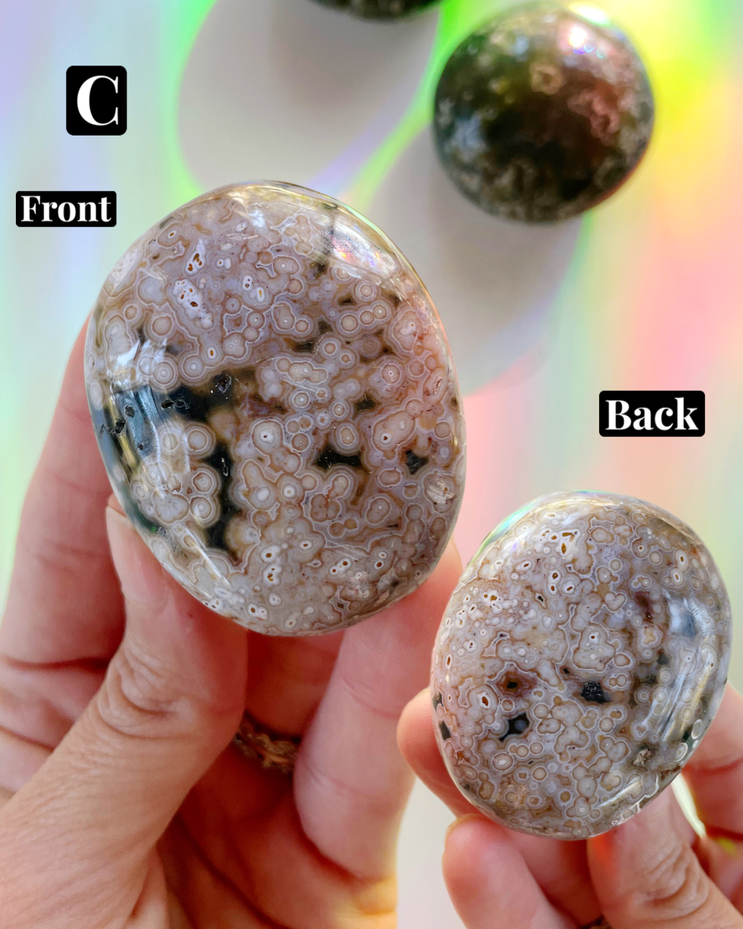 Ocean Jasper Palm Stones 7th Vein - Baltic Mermaid
