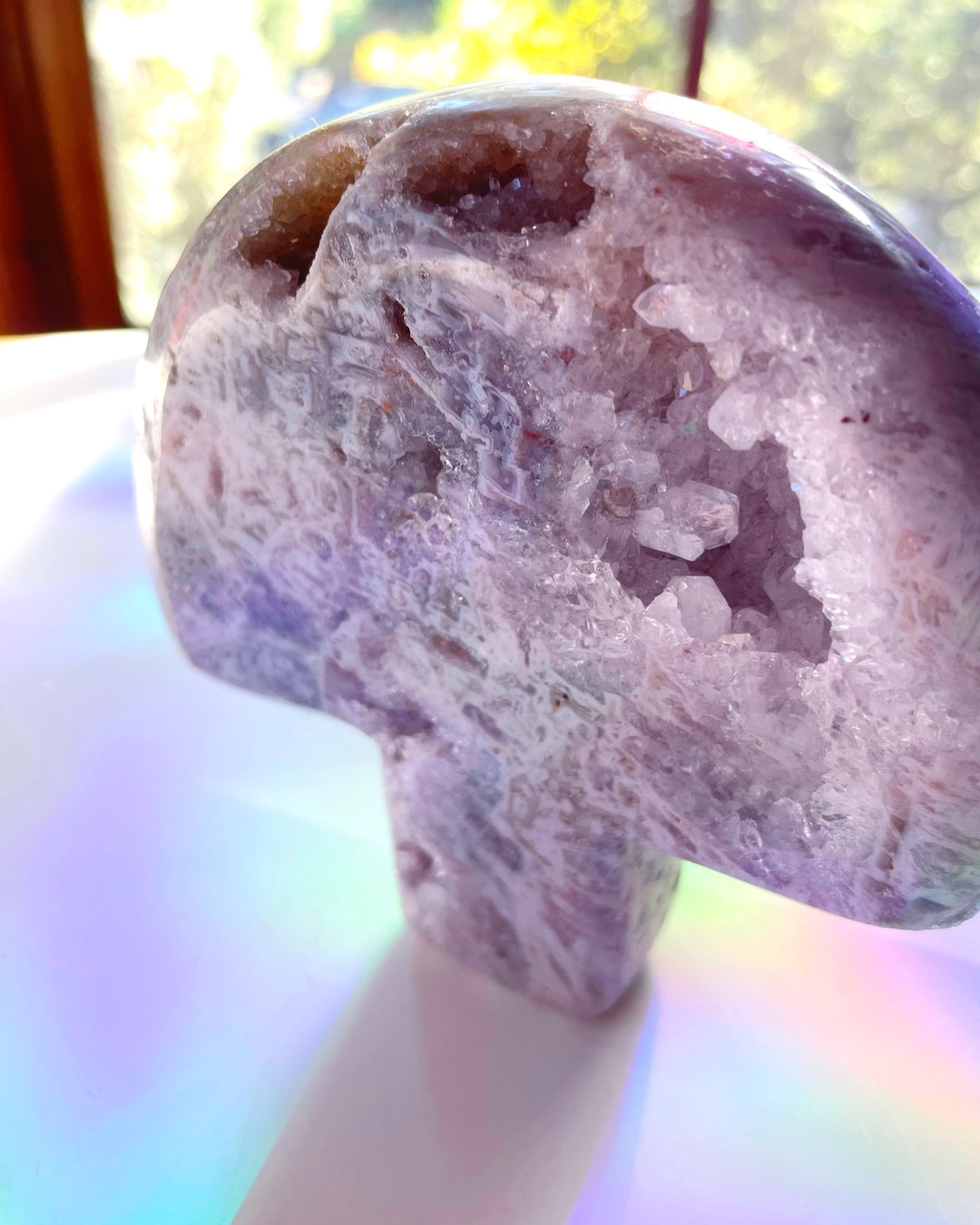 Pink Amethyst Mushroom