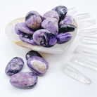 Charoite Tumbled Stones - Baltic Mermaid