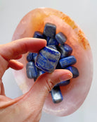 Lapis Lazuli Tumbled Stones - Baltic Mermaid