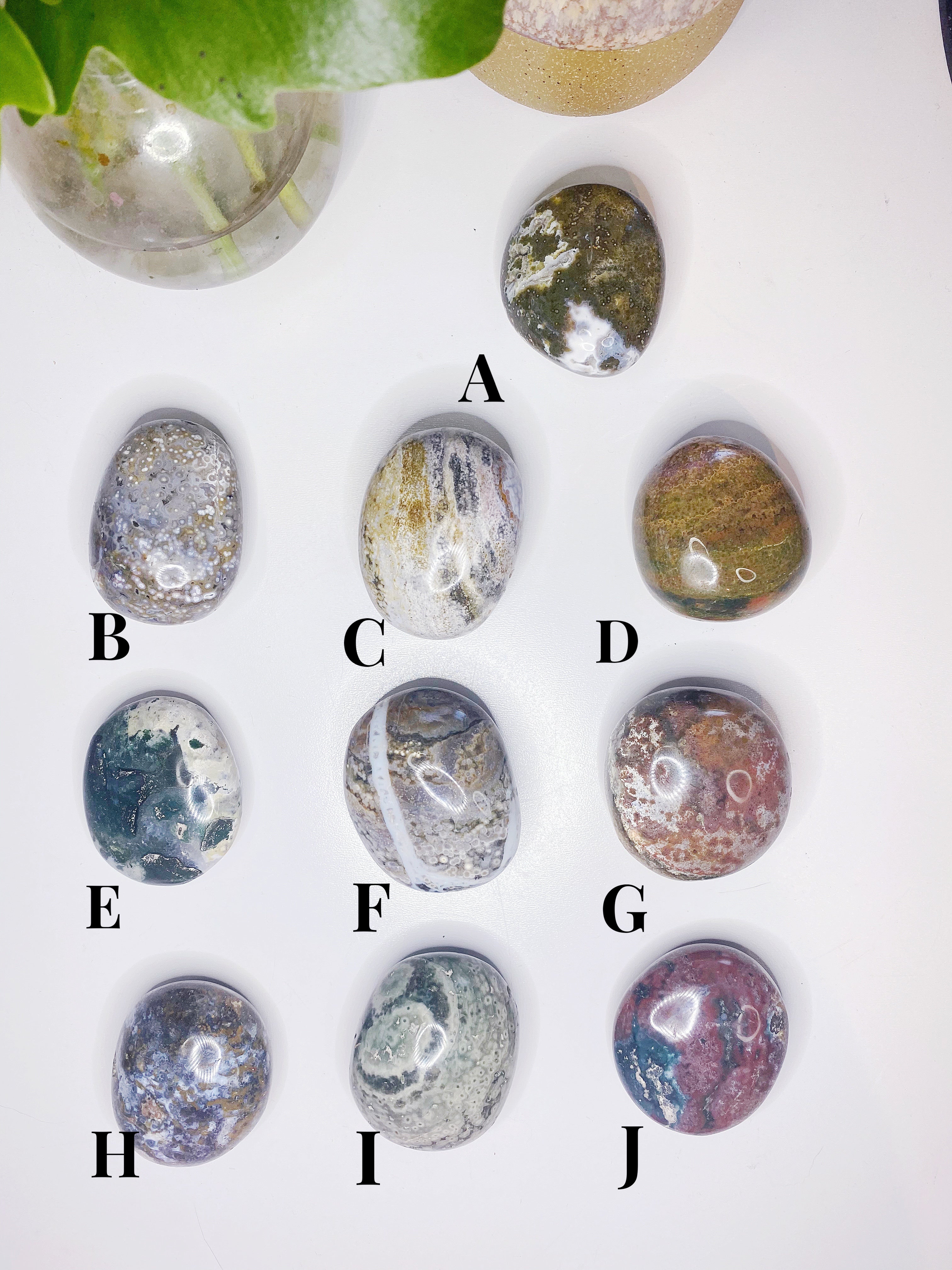 Ocean Jasper Palm Stones - Small - Baltic Mermaid