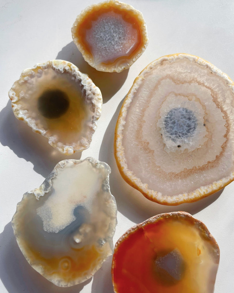 Agate Magnet Set H