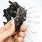 Black Kyanite Fans - Baltic Mermaid